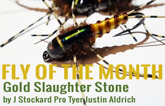 Slaughter Stone Golden Stone Fly