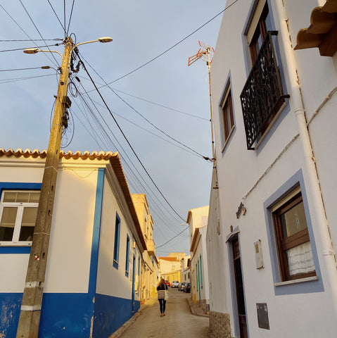 Town of Vila do bispo in Portugal with houses