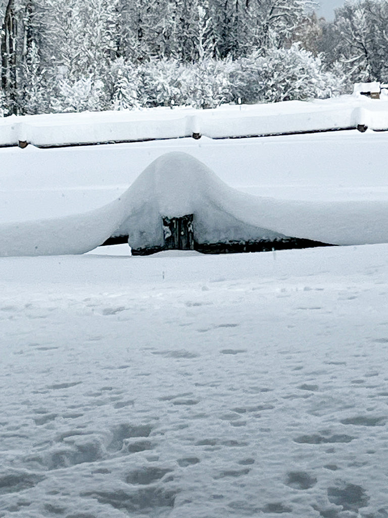 Fence posts disappearing under the snow on the Linn Ranch - February 2024