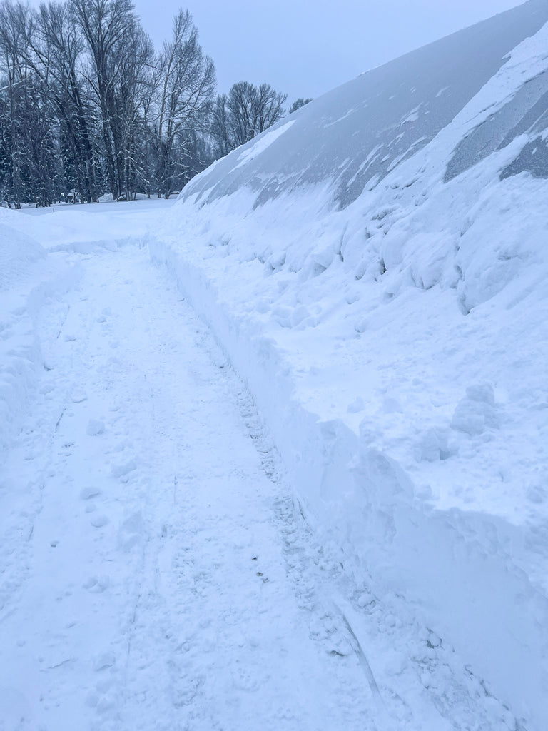 Cleared snow on the side of the Linn Ranch Gardens hoop house - March 2024