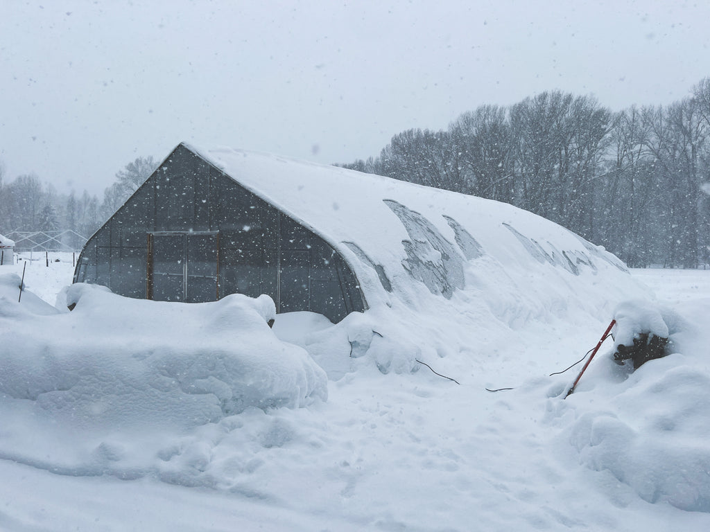 Linn Ranch Gardens hoop house under lots of snow in March 2024