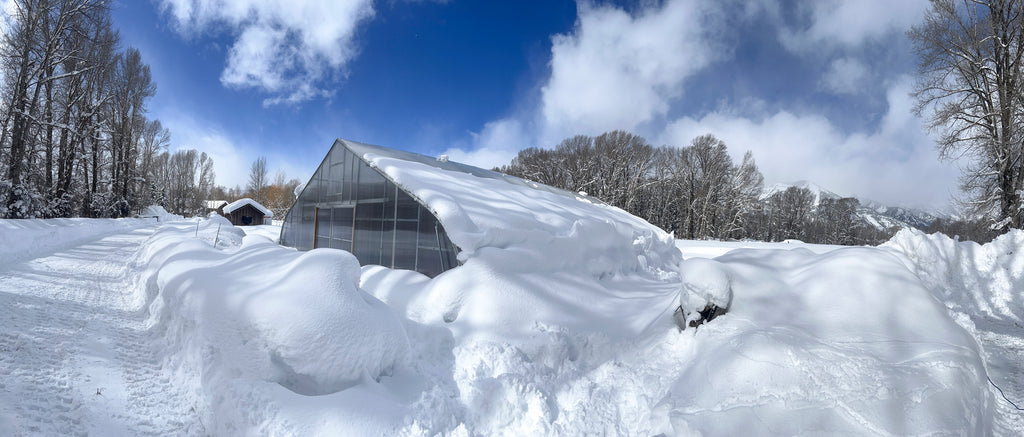 Panorama photo of Linn Ranch Gardens all covered with snow after a big storm