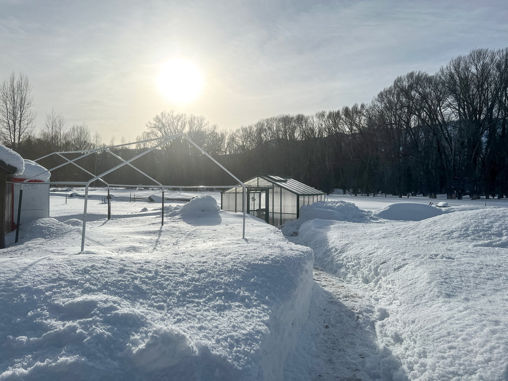 Photo of Linn Ranch Gardens buried under snow with the sun setting in the distance