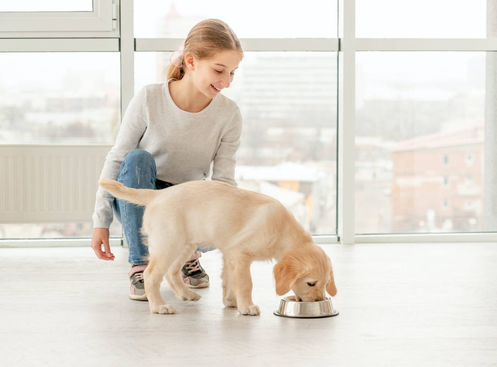 happy girl feeding dog with bone broth in a bowl