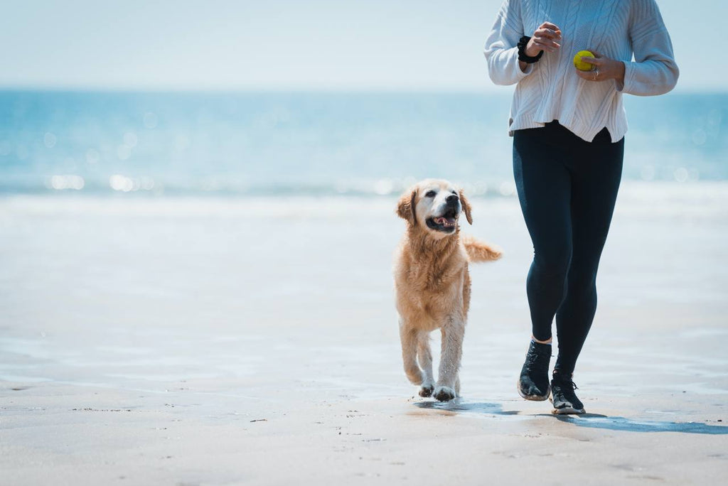 Fit Young woman running with her healthy, active dog on the beach