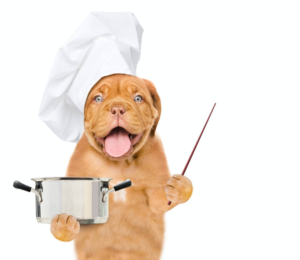 dog wearing chef's hat holding a pan and spatula