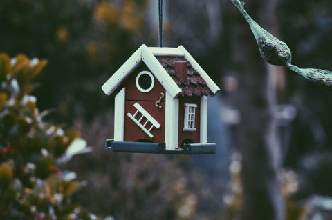 Bird Nest Box