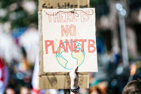 Climate Change - there is no planet B