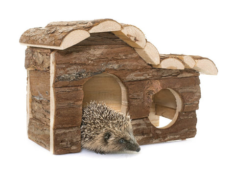 Hedgehog House