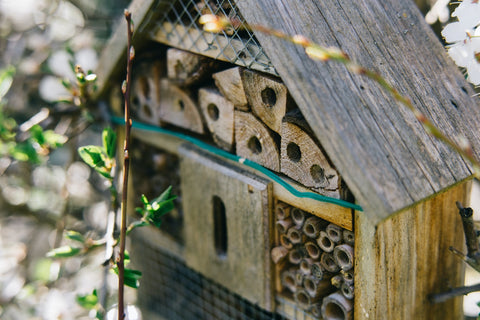 Bee hotel