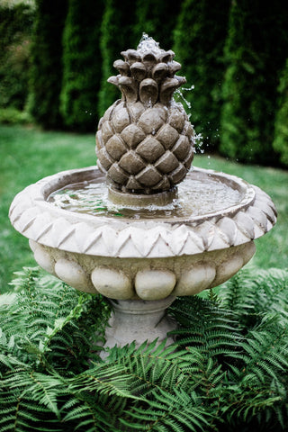 Bird Bath