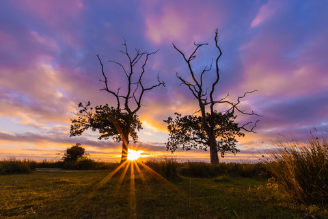 Carlton Marshes