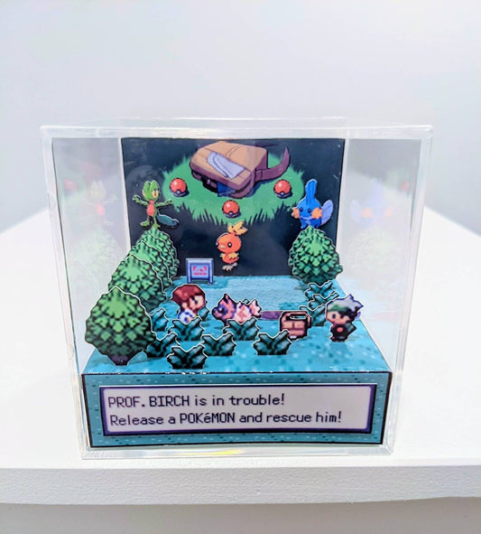 Pokemon Fire Red/Leaf Green Intro Cubic Diorama – ARTS-MD