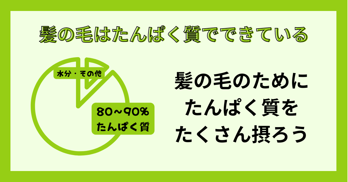 髪の毛はたんぱく質でできている