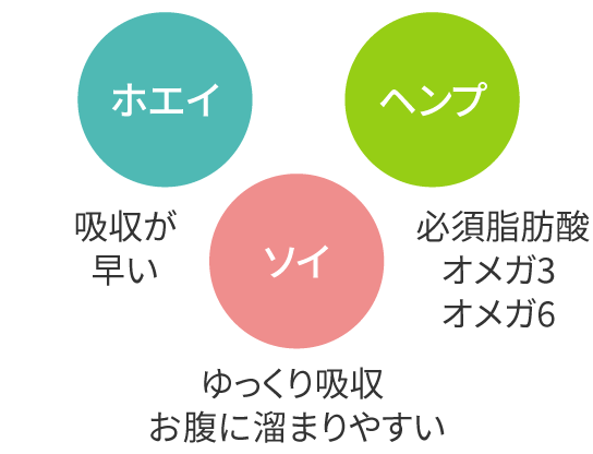 吸収が早いホエイ、ゆっくり吸収お腹に溜まりやすいソイ、必須脂肪酸オメガ3オメガ6ヘンプ