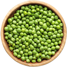 Pea