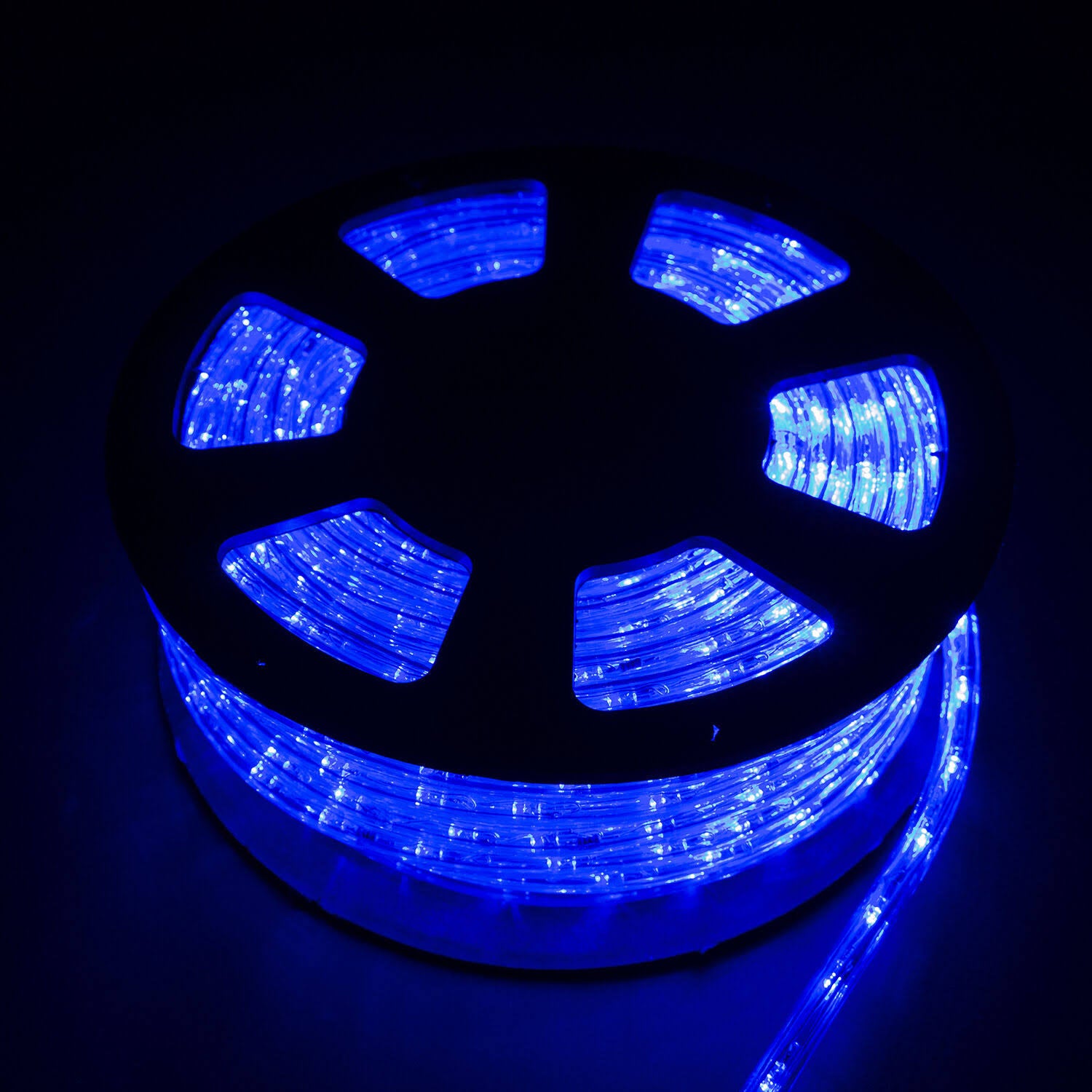 100 2 Wire LED Rope Light Home In/Outdoor Christmas Decorative Party Light 110V