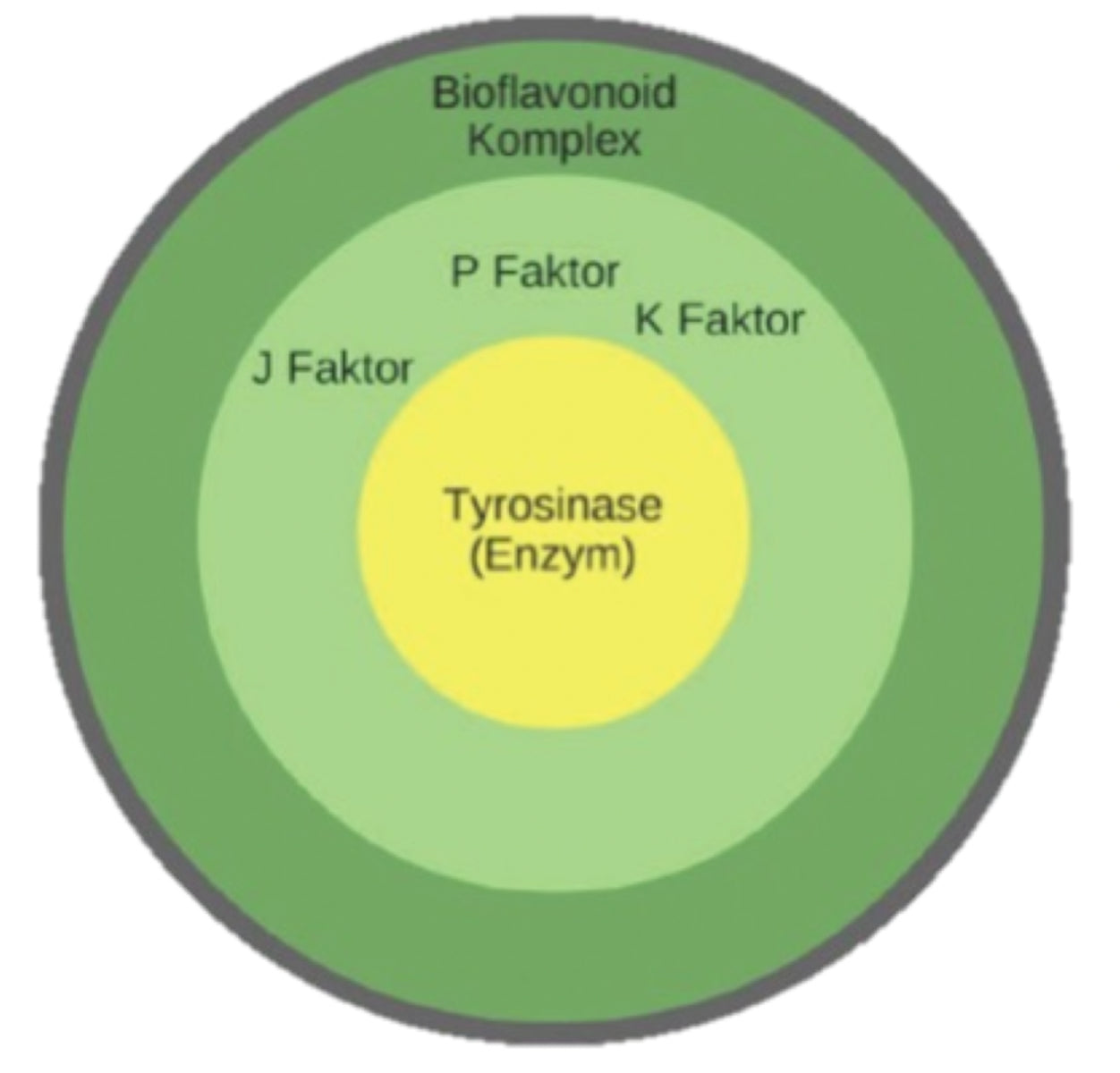 Primavera: Prevent Stretch Mark Oil Enhance Formula