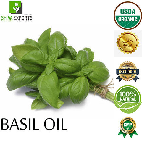 Basil Oil