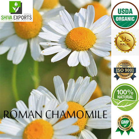 essential oil of Roman chamomile