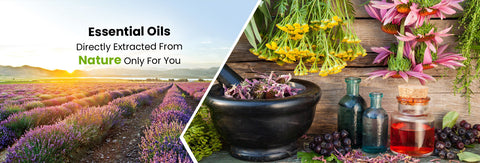 Essential oils and aromatherapy