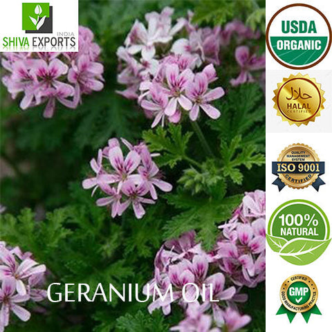 Geranium Oil