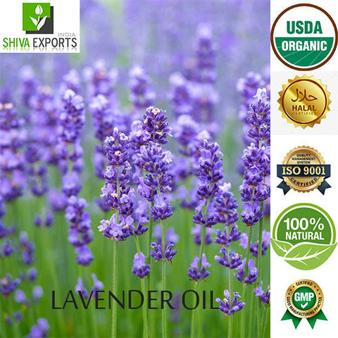Lavender Oil Essential Oils
