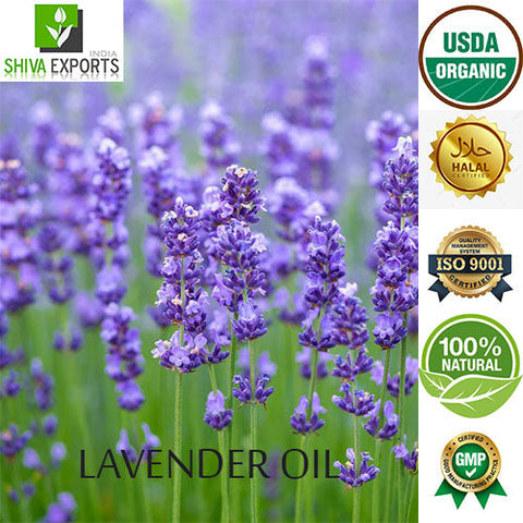 Lavender Oil