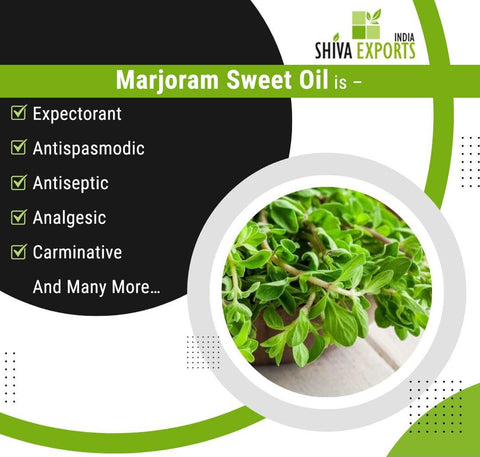Properties of Marjoram Sweet Oil