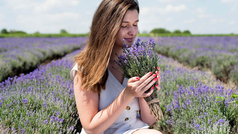 lavender-oil-for-skin2