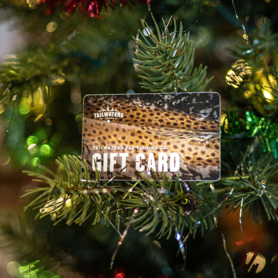 Fly Fishing Gift Card