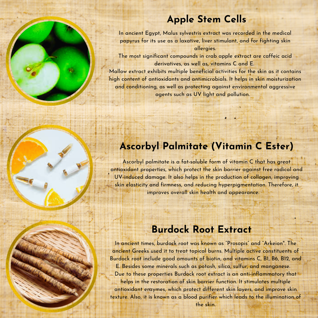 ingredients 2