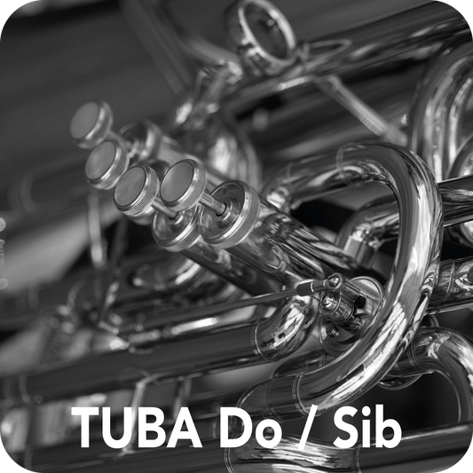 Tuba F / Eb Mouthpieces – Antoni Romera Amador ES39330534M