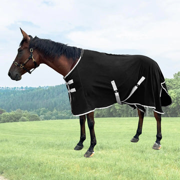 Horse Care dropshipping Products