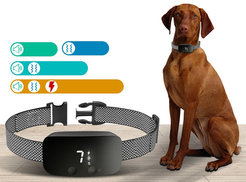 Mit der Laut- sowie Elektro- und Vibrationsfunktion ist das ganze Pensum für das Hundetraining gedeckt.