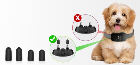 Hier wird darauf hingewiesen, dass die Endkontakte immer mit den Gumminippeln abgedeckt werden sollen. Zum wohle deines Hundes.