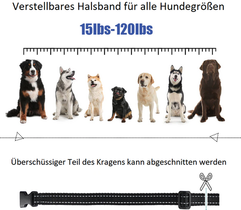 Es werden sieben Hunde der verschiedensten Größen gezeigt mit dem Empfänger am Halsband wo verdeutlicht wird, dass es zu jeder Hundegroße passt.