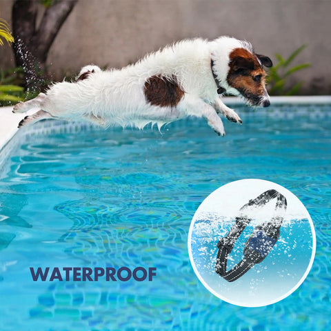 Es wird mit einen Hund der in den Pool springt auf die Wasserdichtheit hingewiesen.