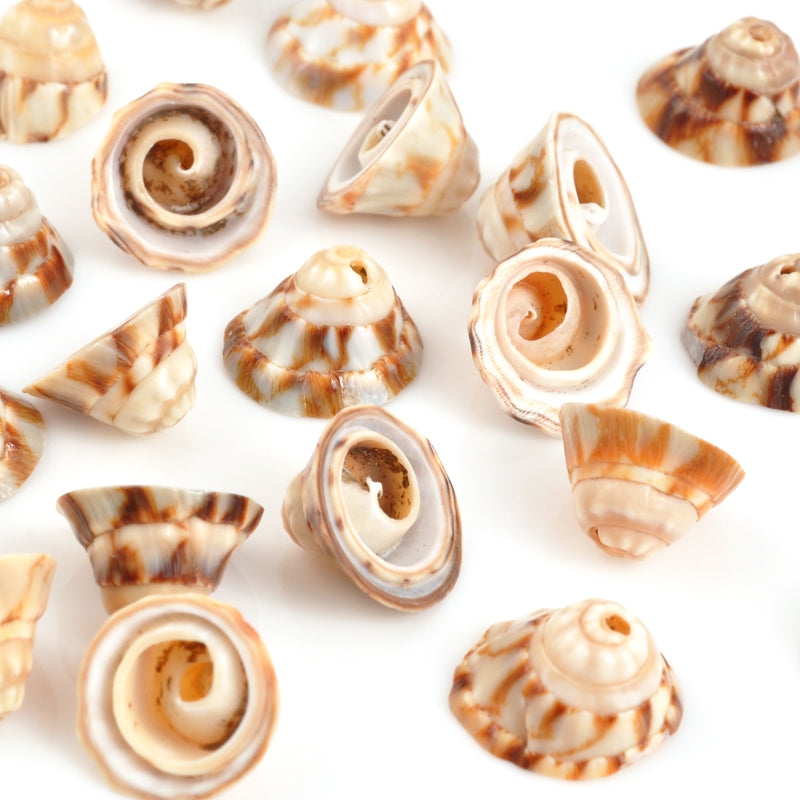 Wholesale Natural Sea Shell Beads Strands 