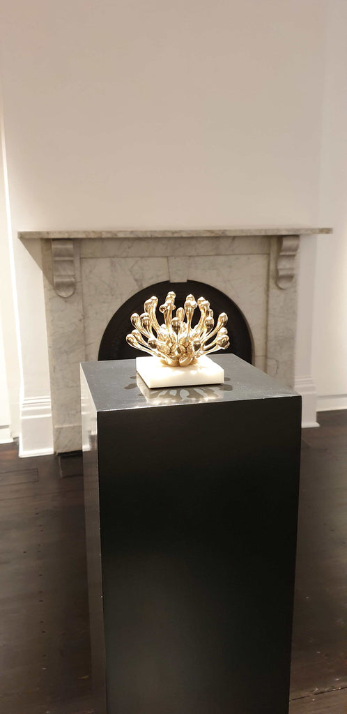 protea bronze sculpture exhibition by Ferdi B Dick 03