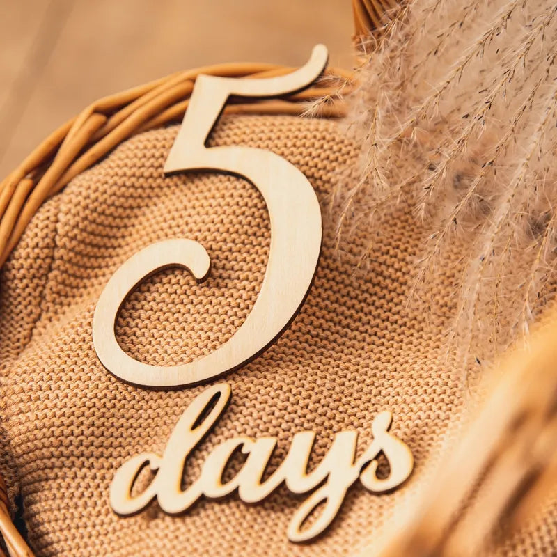 Handmade Baby Milestone Card