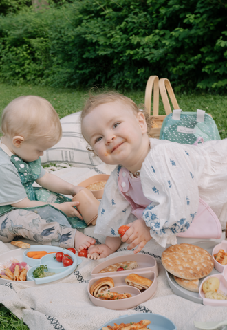 baby_food_picnic