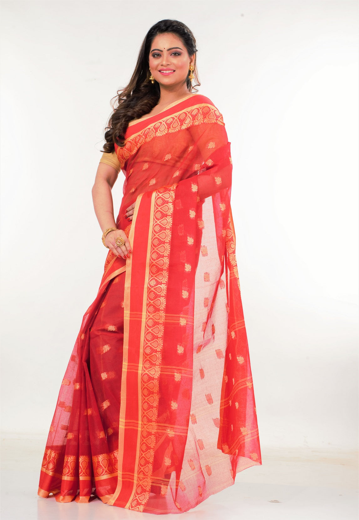 Tant Saree (adi79512)