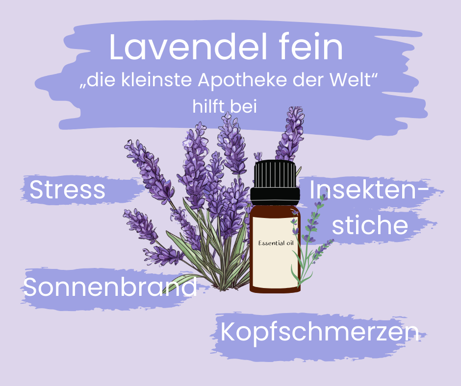 Lavendel-fein-die-kleinste-Apotheke-der-welt.png__PID:ce9a7e7a-32cf-4d87-9041-a1721621f8b7