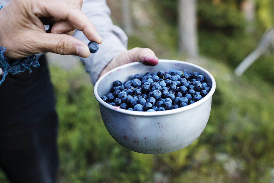 blog-moa-karlberg-blueberries-5988.jpg__PID:c25268fb-9609-403d-a65c-fac544378f69