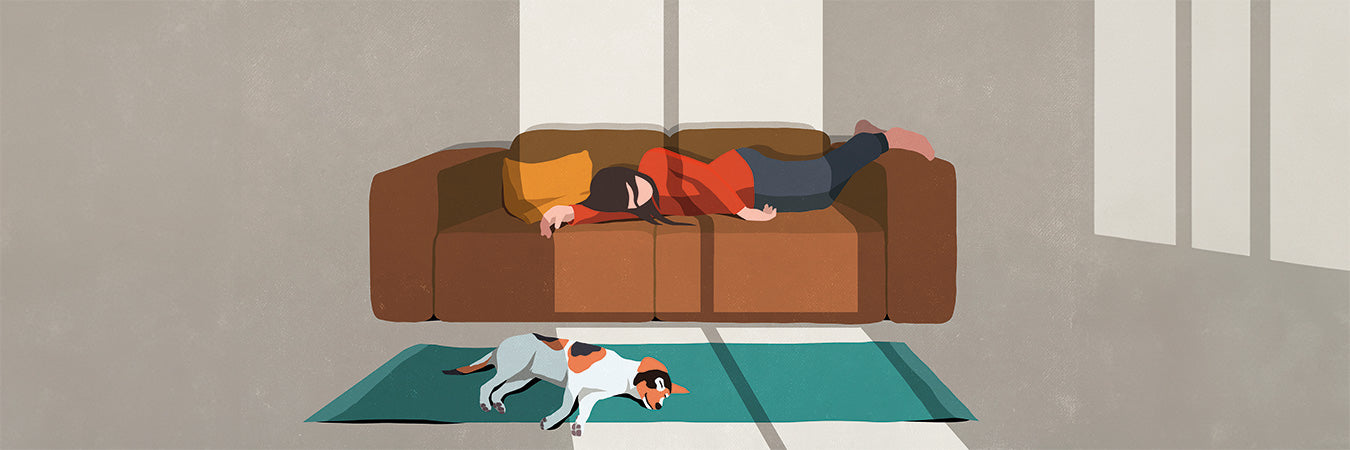 s-h-frau-schlaeft-auf-Couch-Hund-schlaeft-auf-Teppich-Grafik-GettyImages-1326411762.jpg__PID:ef7374f2-ddc3-4664-bf1a-a9da2a7130a0