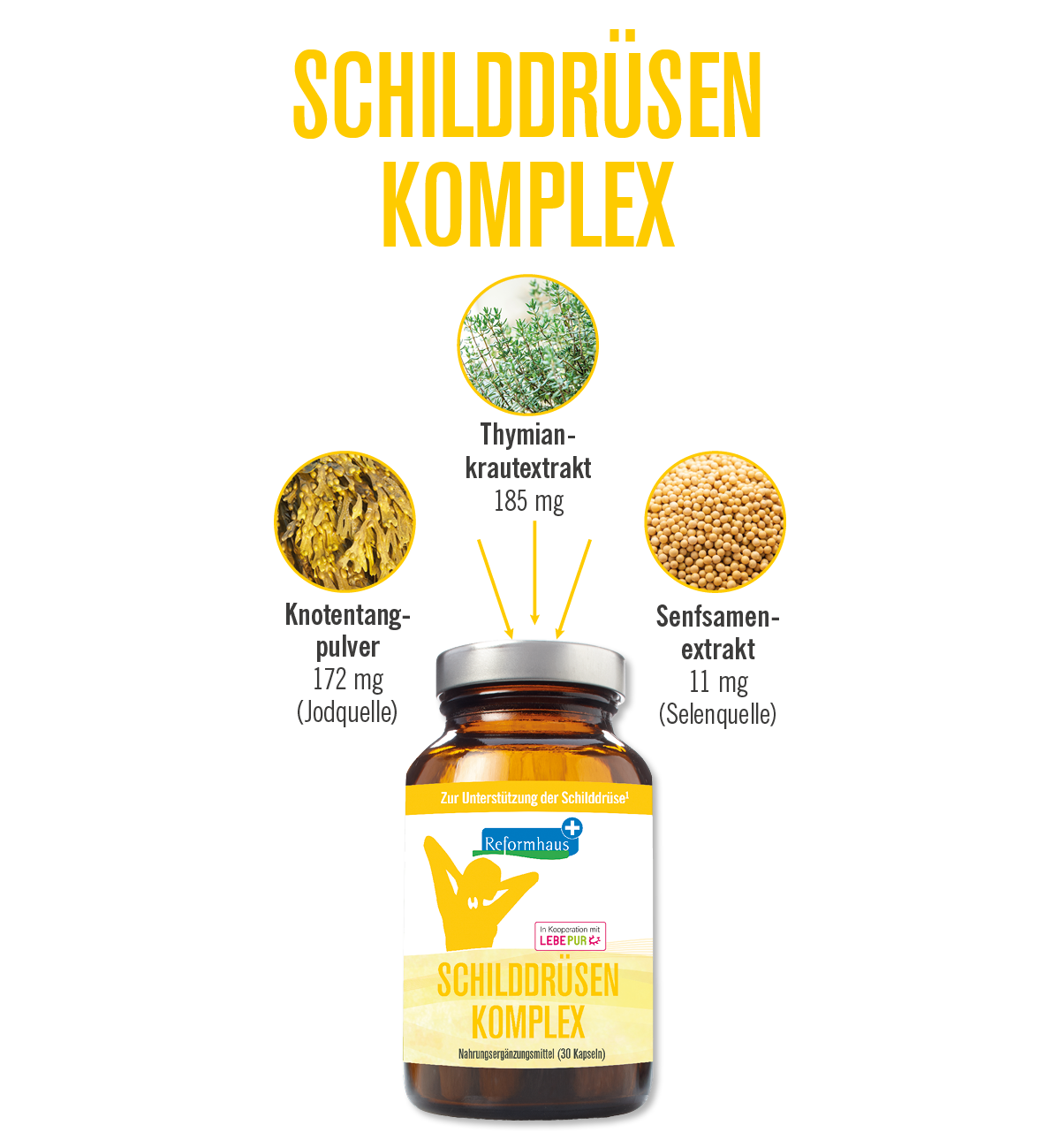 schilddruese neu-1.png__PID:92549467-8fb9-435d-bec0-76a7efe74f7e