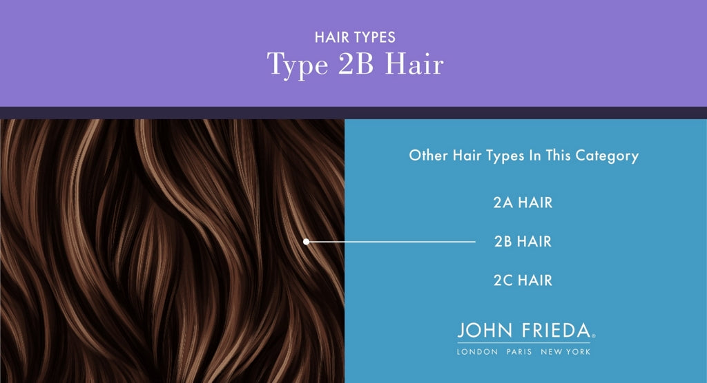 graphic explaining 2B hair types and hair types in the category