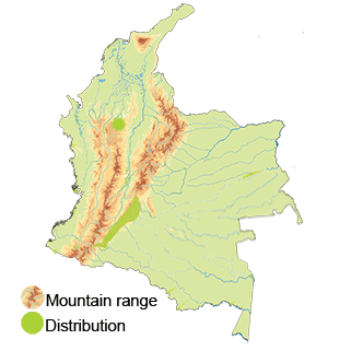 map-colombia-black-tinamou