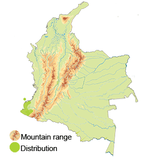 map-colombia-chestnut-throated-seedeater